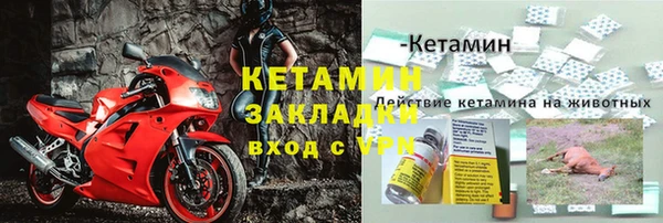 PSILOCYBIN Арсеньев