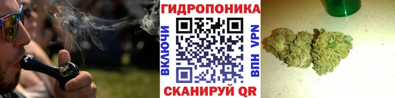 где найти наркотики  KRAKEN ССЫЛКА  Канабис VHQ  Новодвинск 